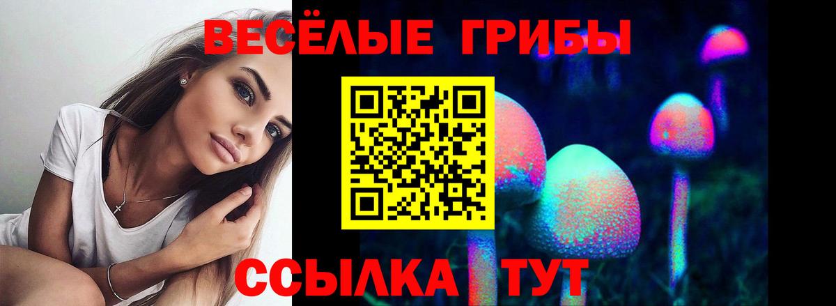 Галлюциногенные грибы Cubensis Туапсе